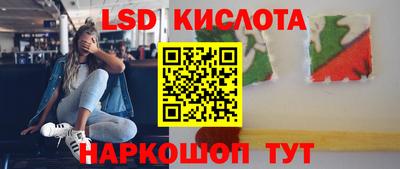 прущие грибы Первоуральск