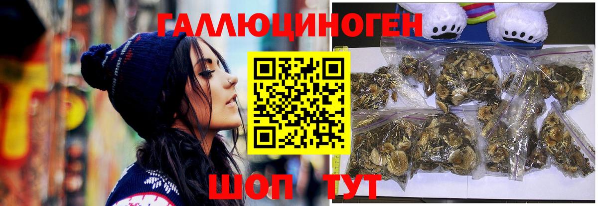 Галлюциногенные грибы Magic Shrooms  цены   Вход с VPN  Сланцы  Псилоцибиновые грибы MAGIC MUSHROOMS 