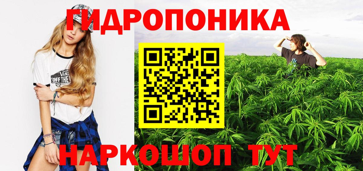 Бошки марихуана VHQ Сланцы
